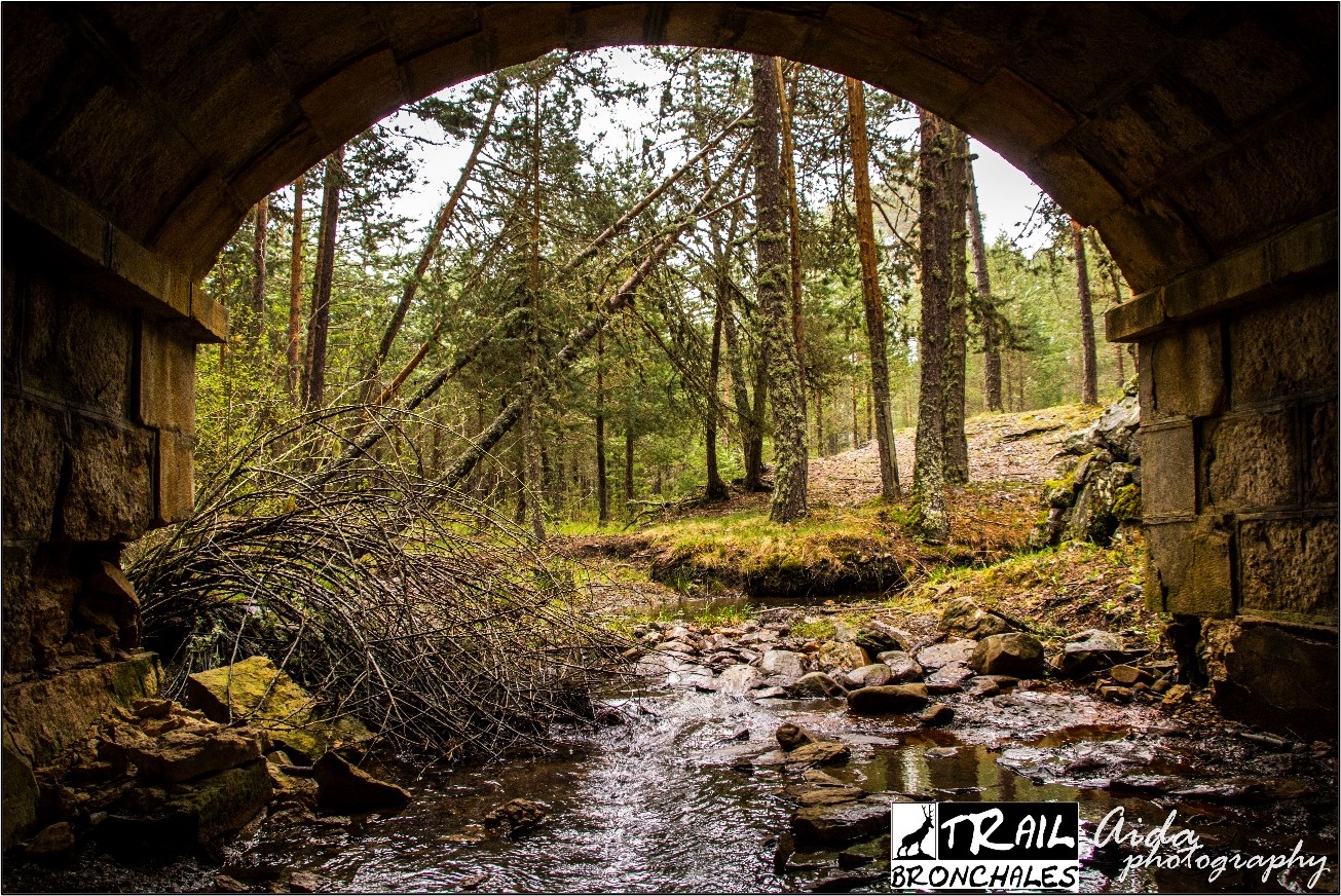 tunel web